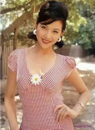 蔡少芬高畫質美圖