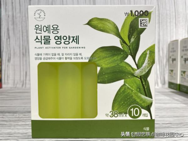 水培水仙花，你學廢了嗎？