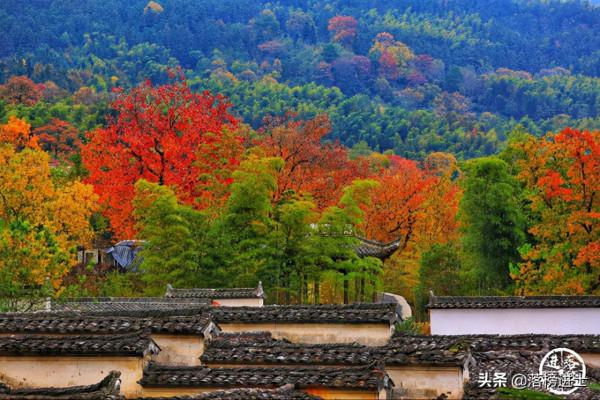 11月旅遊值得推薦的八個地方,秋色絕美,如詩如畫,千萬別錯過 11月旅遊值得推薦的八個地方,秋色絕美,如詩如畫,千萬別錯過