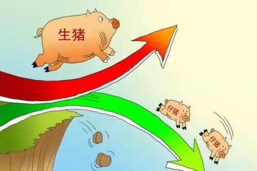 豬肉行業將迎來拐點：這6家企業，有望站上風口