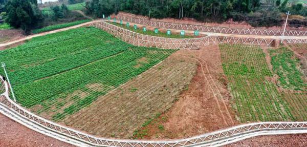 四川發展，高標準農田建設，標準到底有多高？你的家鄉在改造嗎？