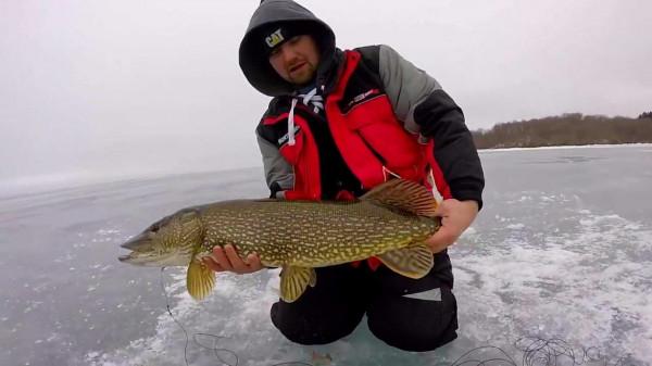 如何在冰凍的湖裡釣魚？俄羅斯大叔用自制工具，抓起數百公斤魚