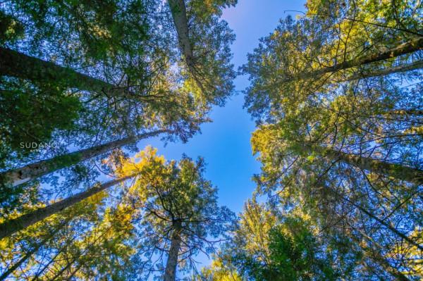 《盜墓筆記》的青銅門真的存在？據傳長白山就有，需爬1442級天梯