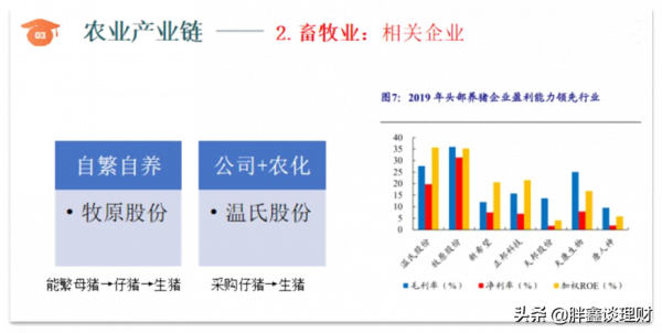 農業晶片——小種子迎來大風口 農業晶片——小種子迎來大風口