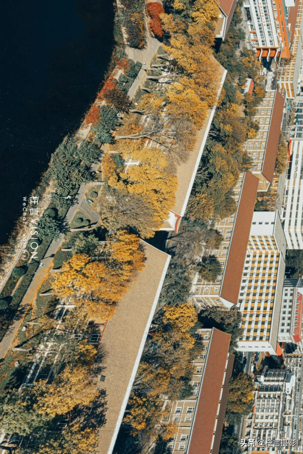 深秋在哪裡 深秋在哪裡