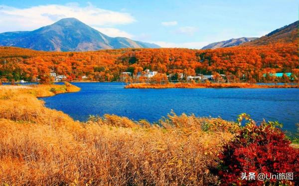 如果一生只能去一次日本,我選擇在秋天 如果一生只能去一次日本,我選擇在秋天