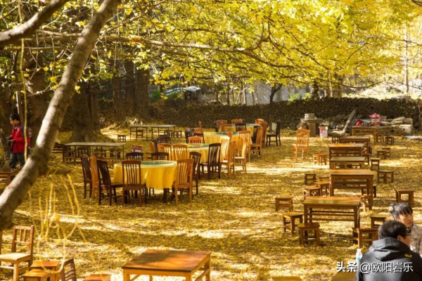 秋去秋來！中國最美的12個地方，你去過幾個？