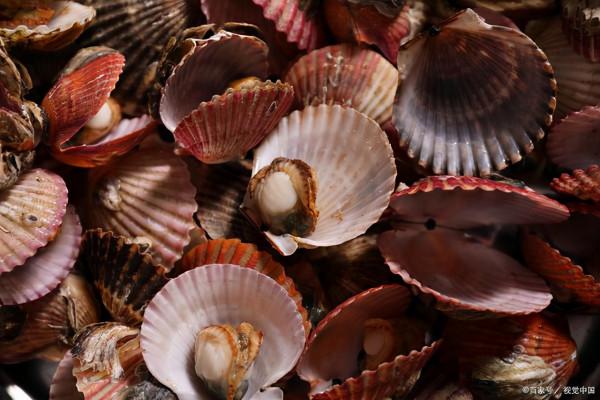 亞丹漢姆45公里處，貝殼堆積如山，蔓延整整110公里，被稱最迷人