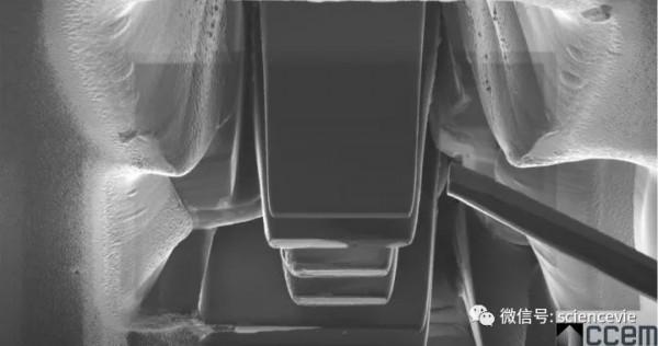 世界上最小的房子有多小？可以在頭髮上放10棟