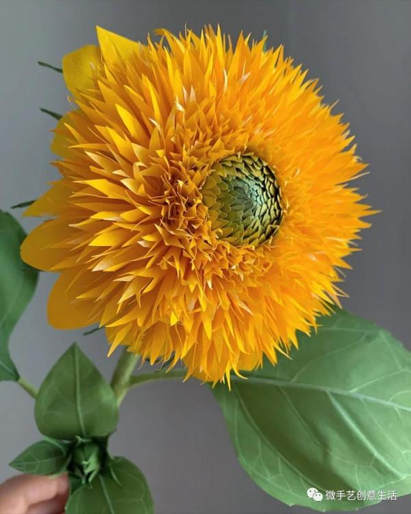 美國姑娘用紙還原了整個植物世界，逼真的讓人傻傻分不清