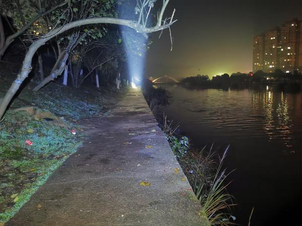 喵星人陪我作釣不再孤單，驚喜連連不斷