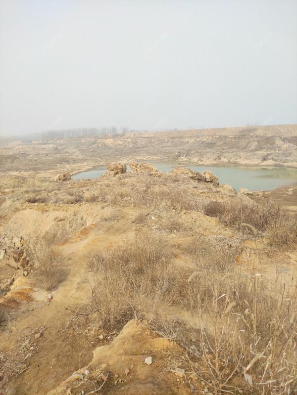 虎年首釣告捷！開竿見板鯽，迎來小爆護