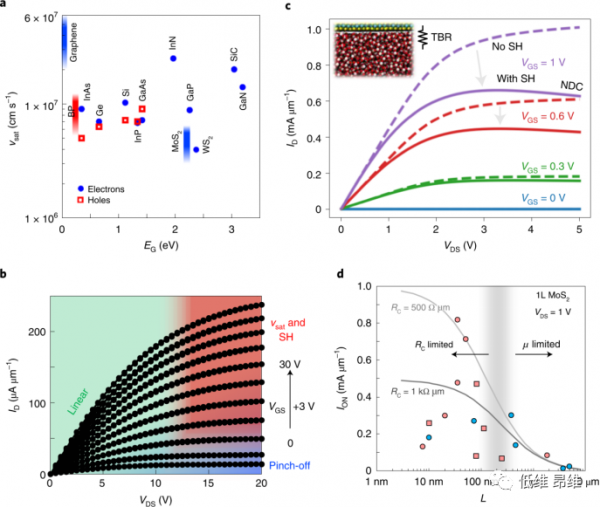面向下一代晶片的二維場效應電晶體