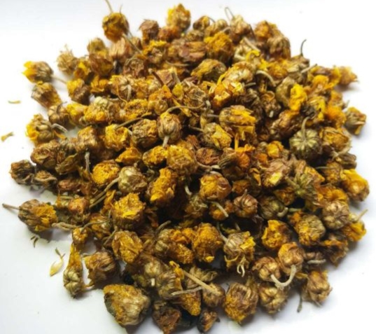 每日中藥——野菊花 每日中藥——野菊花