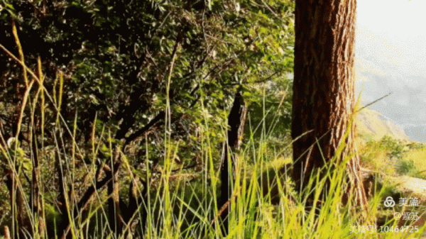 回顧我的2021 回顧我的2021