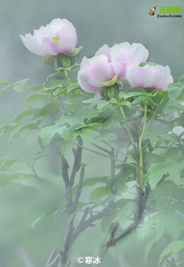 河南全省433家A級景區，免門票！中原大地的壯觀美景，絕了