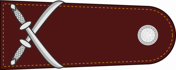 泰國警銜標識 泰國警銜標識