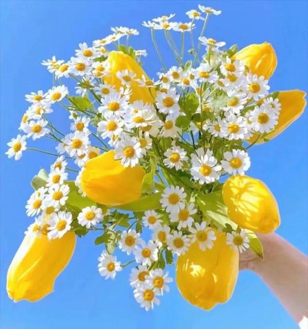 小雪悠悠冬來遲 小雪悠悠冬來遲