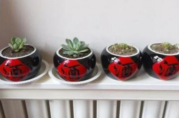 大爺不抽菸不喝酒，就愛撿酒瓶種花，養養就成傳家寶