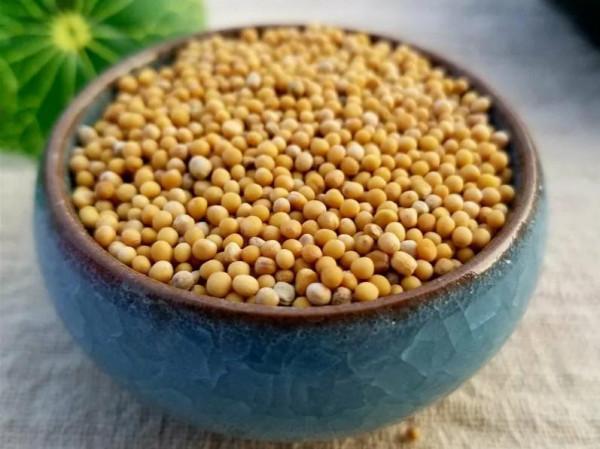 冬季咳嗽反反覆覆不見好？送你三味中藥，化痰消食、降氣平喘