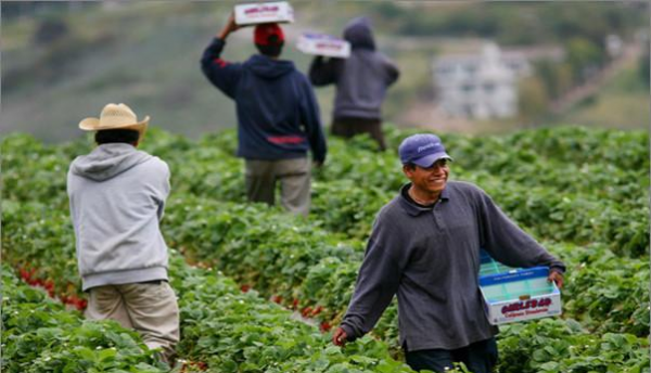 看這一篇就夠了!小聘解析勞務現狀以及發展趨勢 看這一篇就夠了!小聘解析勞務現狀以及發展趨勢
