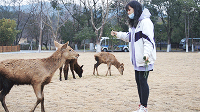 超值二月 歡樂不停 &sol;&sol; 特惠門票、免費遊園、高能福利&period;&period;&period;都在這裡