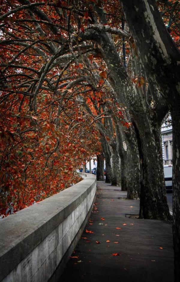 特別漂亮的路風景分享