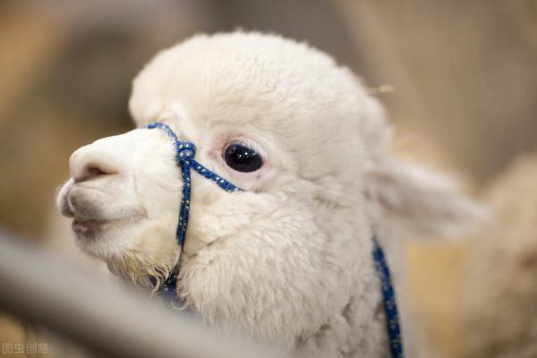 頂樓+木地板=不配擁有暖氣