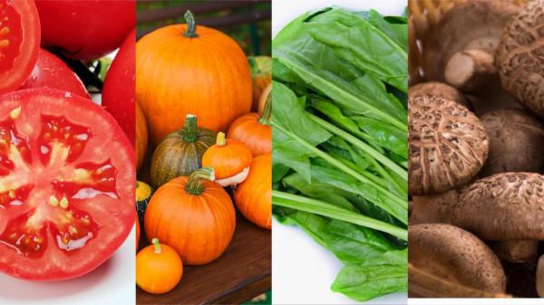 推薦六種減壓又減脂的食物,減肥+開心兩不誤 推薦六種減壓又減脂的食物,減肥+開心兩不誤