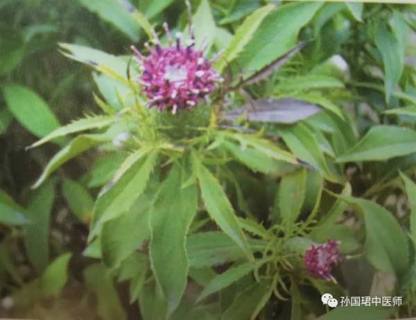 出虛汗,虛在哪 出虛汗,虛在哪