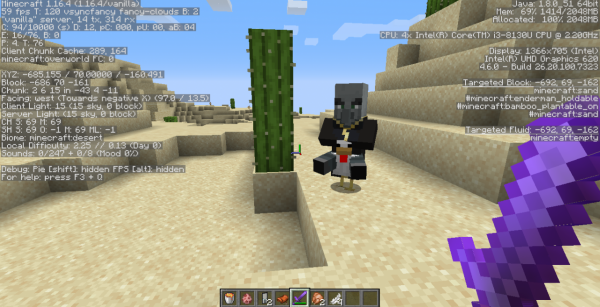 如何只用一張圖證明，你在Minecraft遇見過的最“怪異”的事件？