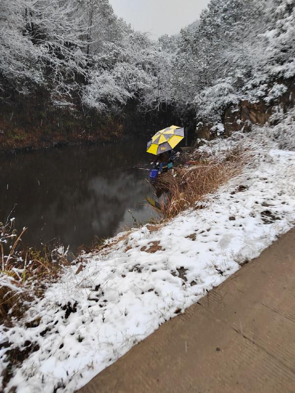 陪伴魚兒看煙花，期待新年的鐘聲