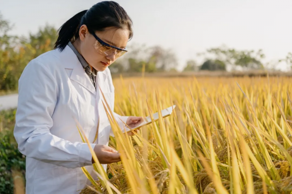 “雲上躍遷”——中國企業雲智融合之路