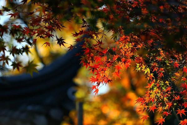 原來,文字也可以這麼有“穿越感” 原來,文字也可以這麼有“穿越感”