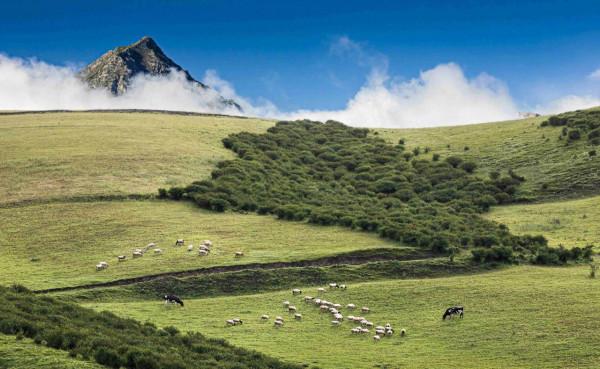 大美青海，山川如此多嬌