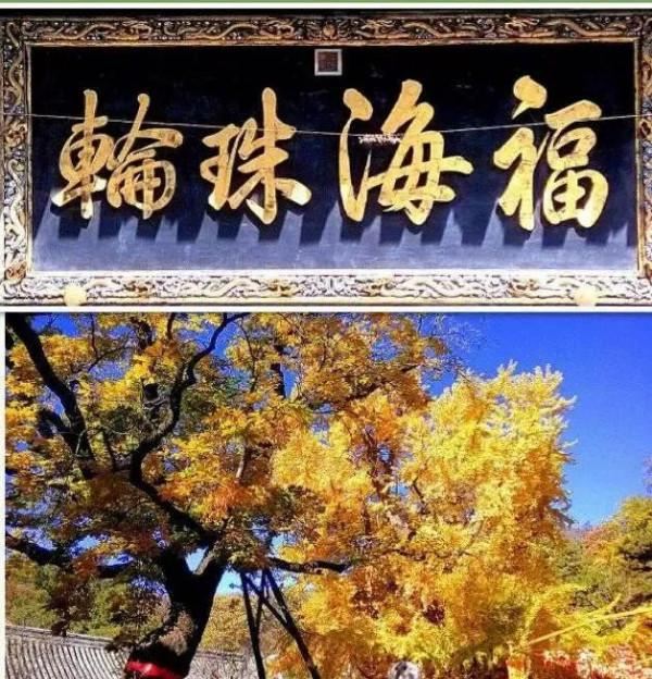 秋季京西這條路，美得如同斑斕的油畫