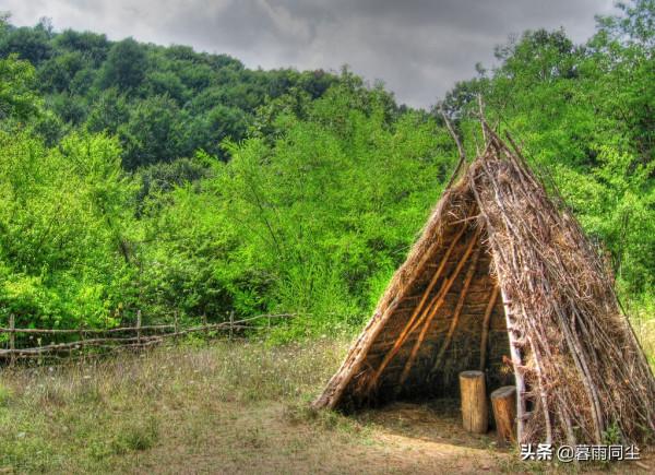 不要相信關於野外生存的神話，22個大錯特錯能讓你喪命的求生誤區