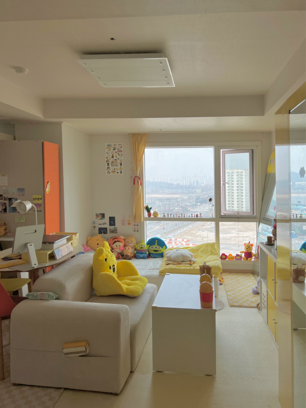 拒絕“傳統斷舍離”，46㎡全屋塞100多個玩偶，依舊保持一塵不染