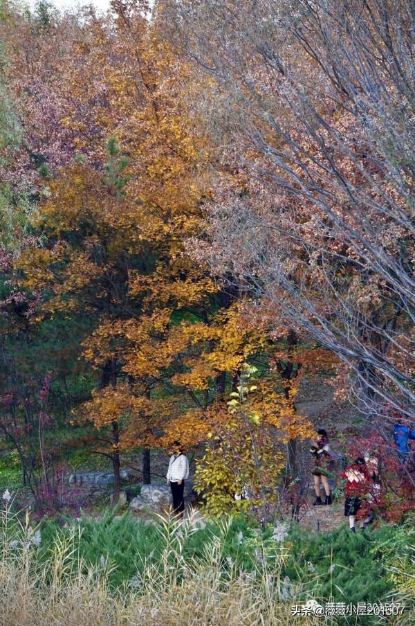 城市漫步——奧森公園 城市漫步——奧森公園