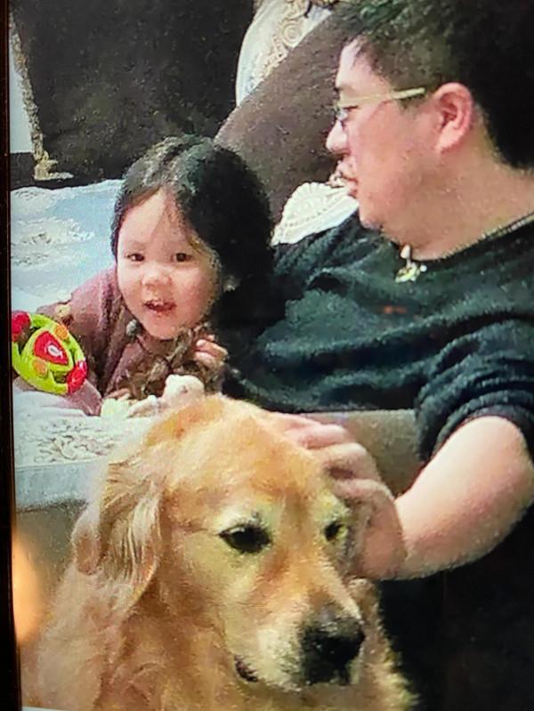 快來欣賞這些可愛的動物們