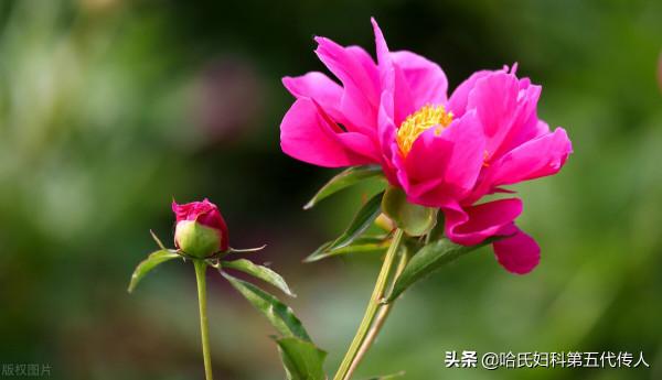 女人一旦過了40,臉色就容易發黃，不想做黃臉婆收藏這個方子