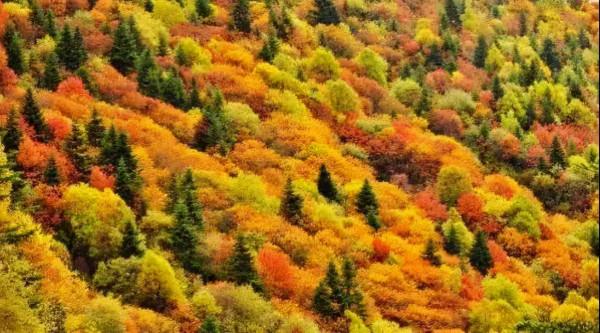 國內6條超驚豔的自駕路線，橫跨東西南北，一路風景賞心悅目