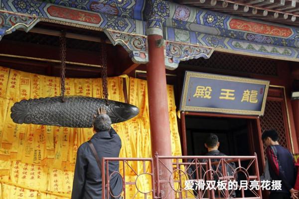 古剎幽蘭之醉賞潭柘寺“二喬” 古剎幽蘭之醉賞潭柘寺“二喬”