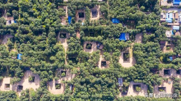 航拍陝西“天下第一地窖村”進村不見房聞聲不見人