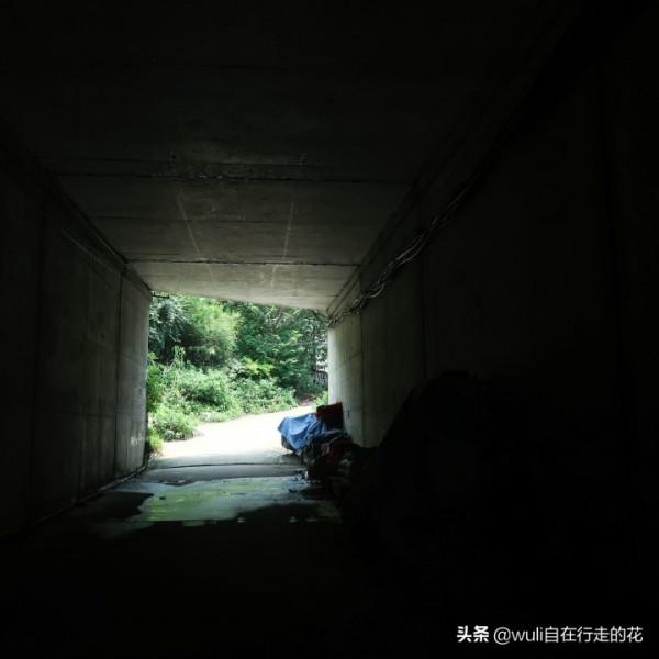 這個秋天,繼續闖蕩福州鼓山,用腳步丈量她的美 | 第63條徒步路線 這個秋天,繼續闖蕩福州鼓山,用腳步丈量她的美 | 第63條徒步路線