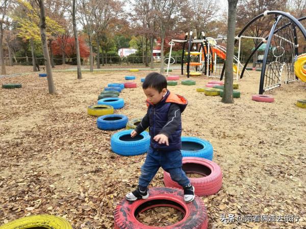 上海花開海上深秋的賞楓之行,醉美楓葉皆秋意,霜葉紅於二月花 上海花開海上深秋的賞楓之行,醉美楓葉皆秋意,霜葉紅於二月花