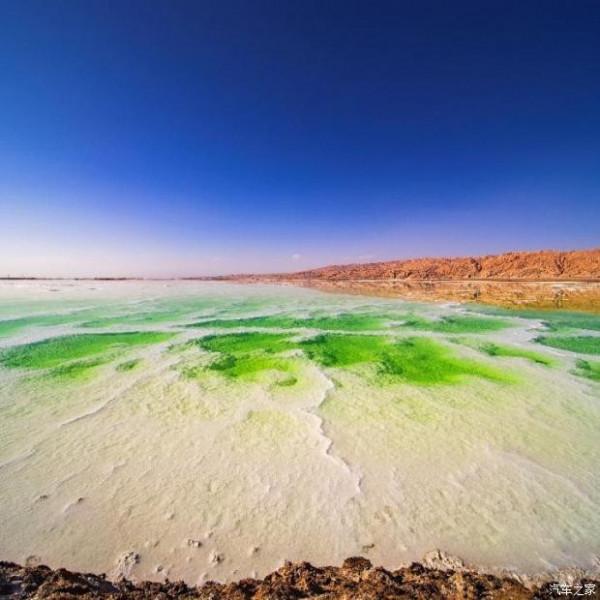 那車那人那狗 漫遊甘青 十三 日！
