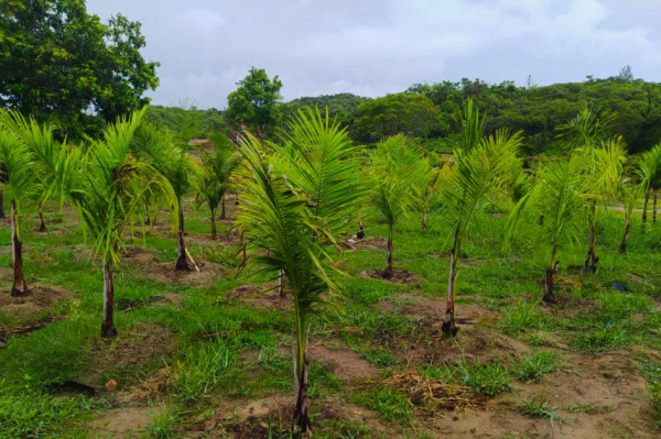 緬甸若開海濱正在建設，休閒娛樂一體的現代化度假城