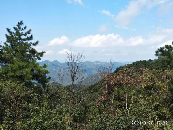 移動聯通公司有多麼賺錢？