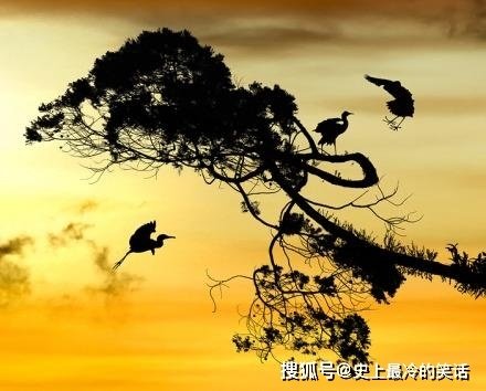 關於落日,這3首唐詩、4首詞、2首元曲,每一首都可謂千古絕唱 關於落日,這3首唐詩、4首詞、2首元曲,每一首都可謂千古絕唱